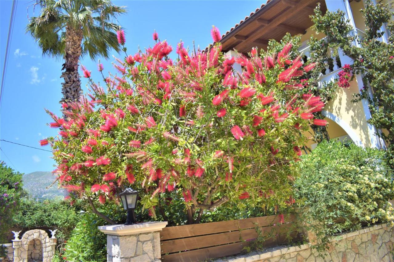 Villa Dionysios Керион Экстерьер фото