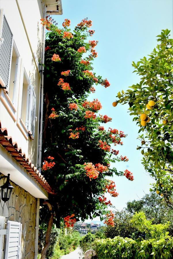 Villa Dionysios Керион Экстерьер фото